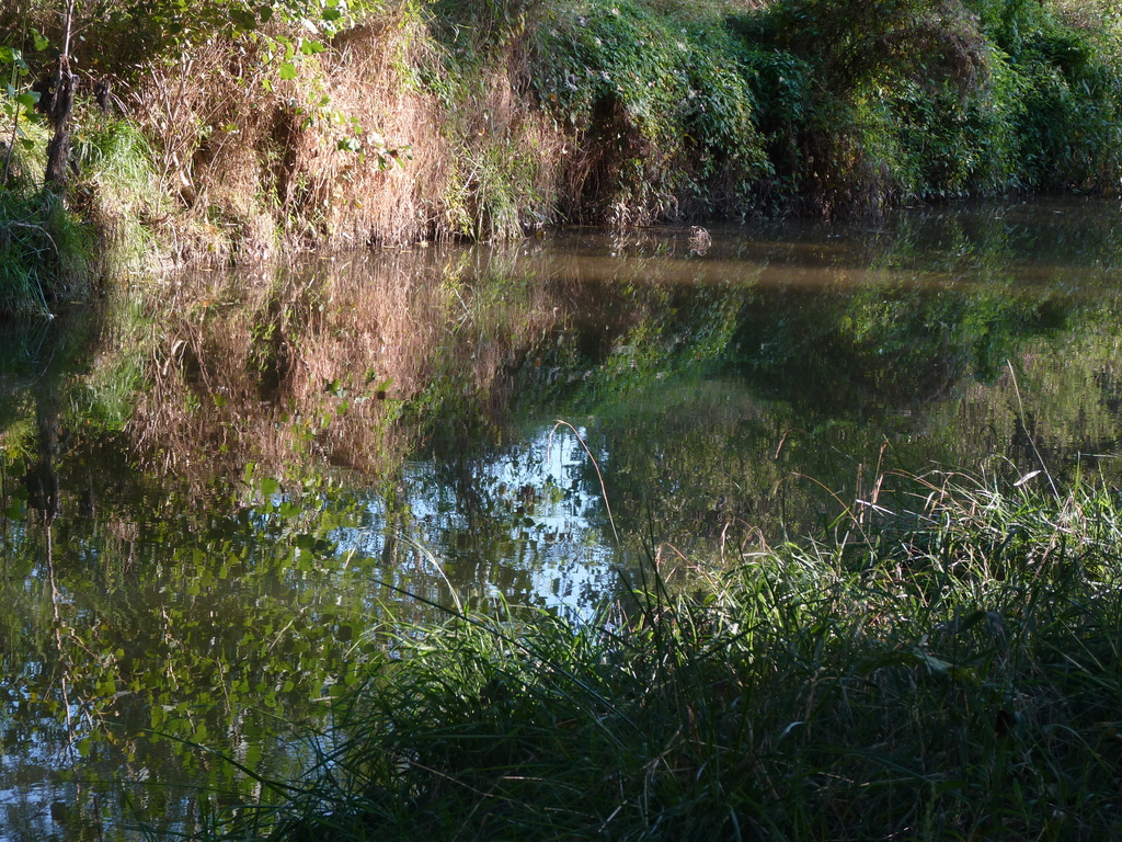 No s'ha  trobat l'arxiu